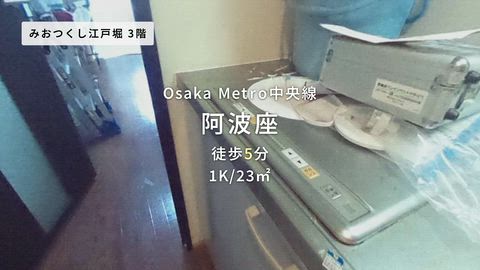 動画