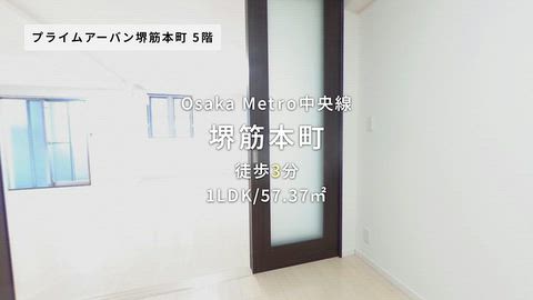 動画
