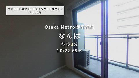 動画