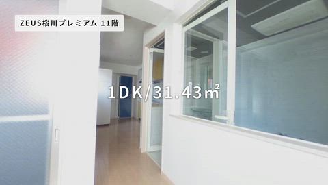 動画