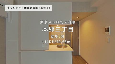 動画