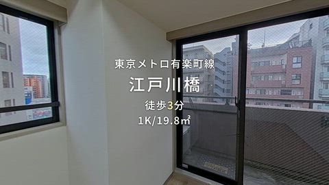 動画