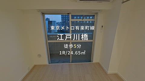 動画