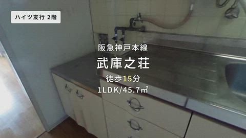 動画