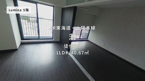 動画