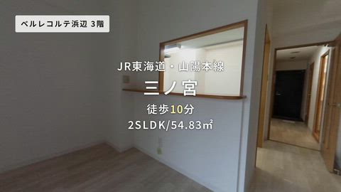 紹介ムービー
