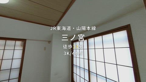 動画