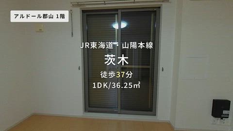 紹介ムービー
