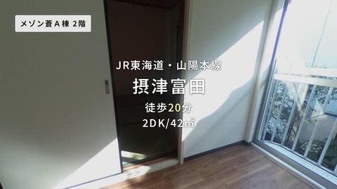 動画