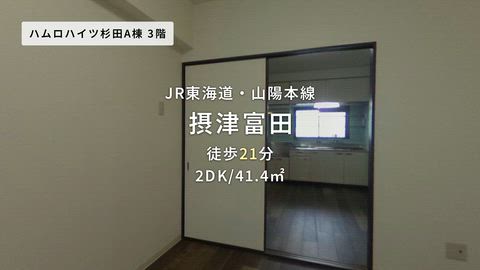 動画