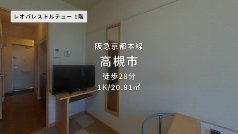 動画