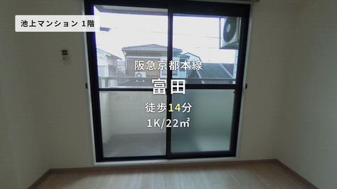 動画