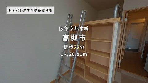 動画