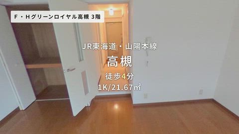 動画