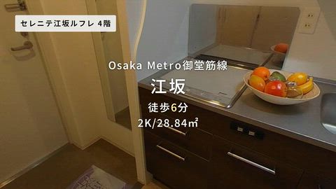 動画