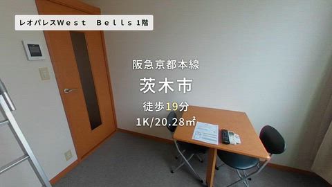 動画