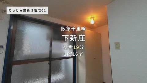 動画