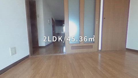 紹介ムービー