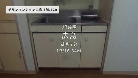動画