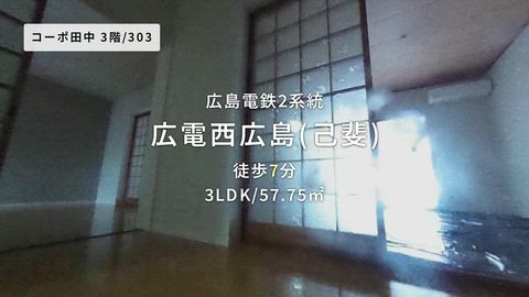 動画