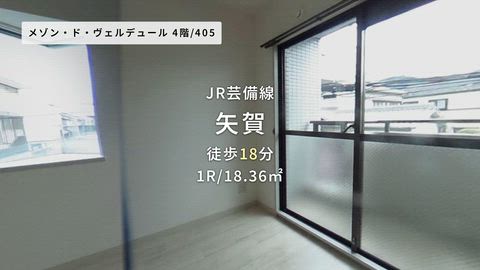 動画