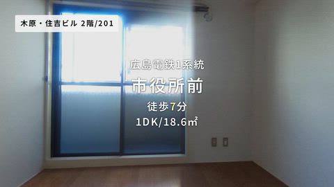 動画