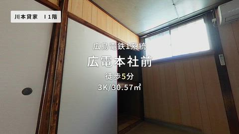 動画