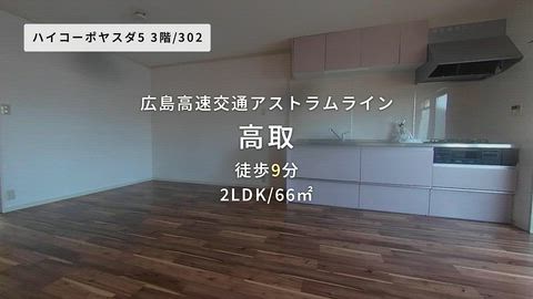 動画