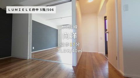動画