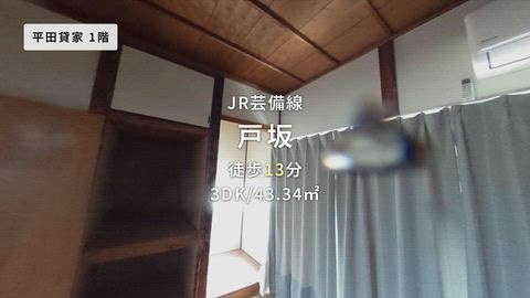 動画