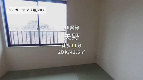 動画