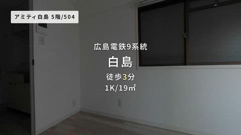 動画