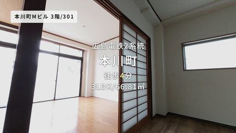 動画