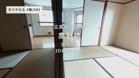 動画