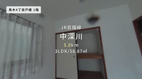動画
