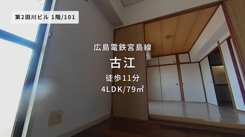 動画