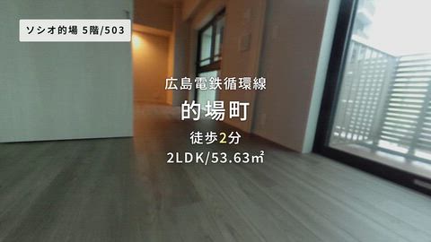 動画