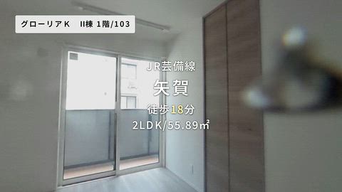 動画