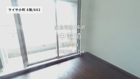 動画