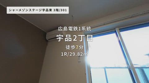 動画
