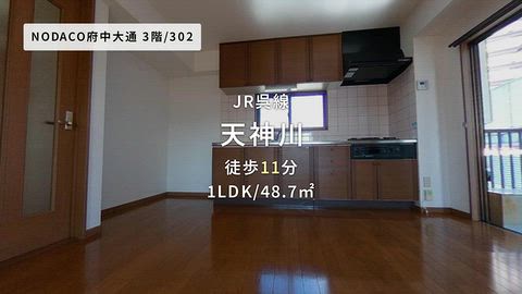 動画