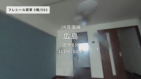 動画