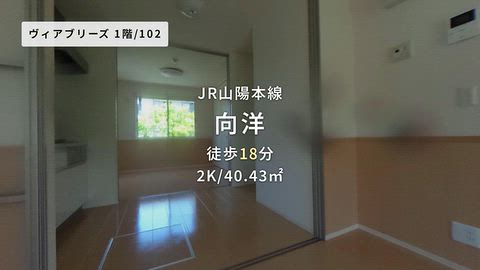 動画