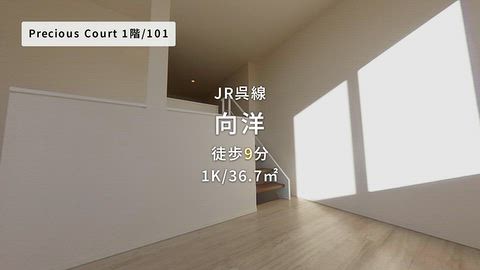 動画