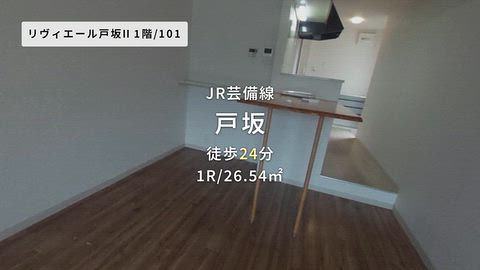 動画