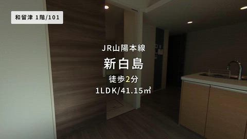 動画