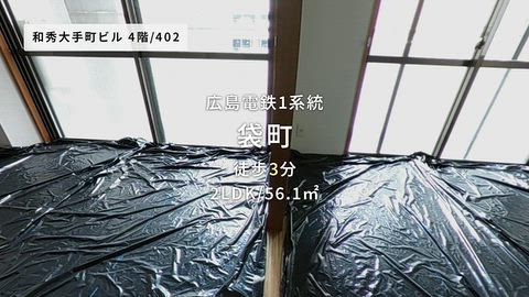 動画