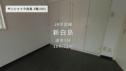 動画
