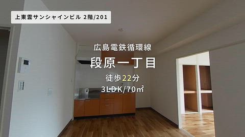 動画