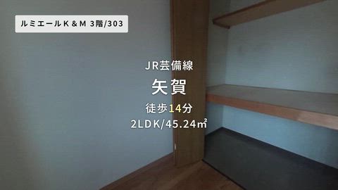 動画